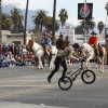 2013roseparade_8431