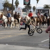 2013roseparade_8434