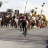 2013roseparade_8438