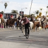 2013roseparade_8439