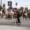 2013roseparade_8440