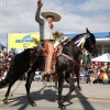 2013roseparade_8720