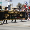 2013roseparade_8774