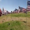 flags_6493