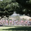 flags_6497