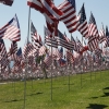 flags_6499