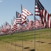 flags_6503