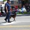 parade_2572