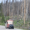 yellowstone_5359