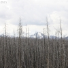 yellowstone_5361