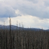 yellowstone_5362