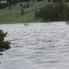 yellowstone_5440