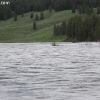 yellowstone_5442