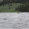 yellowstone_5443