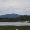 yellowstone_5534