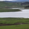 yellowstone_5536