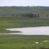 yellowstone_5537