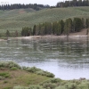 yellowstone_5543