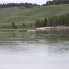 yellowstone_5545