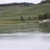 yellowstone_5546