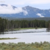 yellowstone_5570