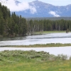 yellowstone_5571