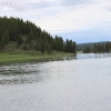 yellowstone_5573