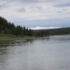 yellowstone_5574