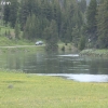 yellowstone_5575