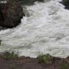 yellowstone_5580