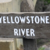 yellowstone_5582