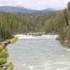 yellowstone_5584