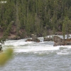 yellowstone_5586